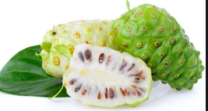 Raw material of Noni fruit powder